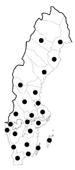 Utbredning i Sverige