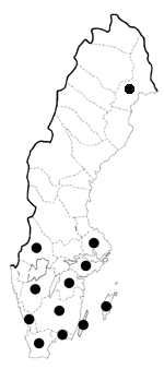 Utbredning i Sverige